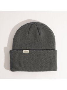 Coal The Wayne Beanie | Storm