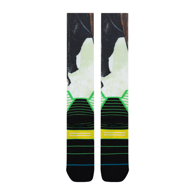 Stance Men's Snow Disney Xenomorph Snowboard Socks | Multi