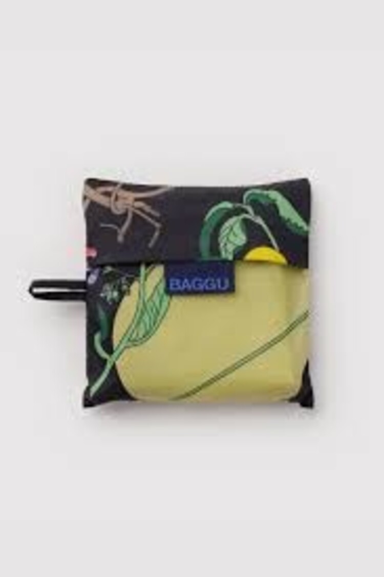 Baggu Standard Baggu | Winter Gourd