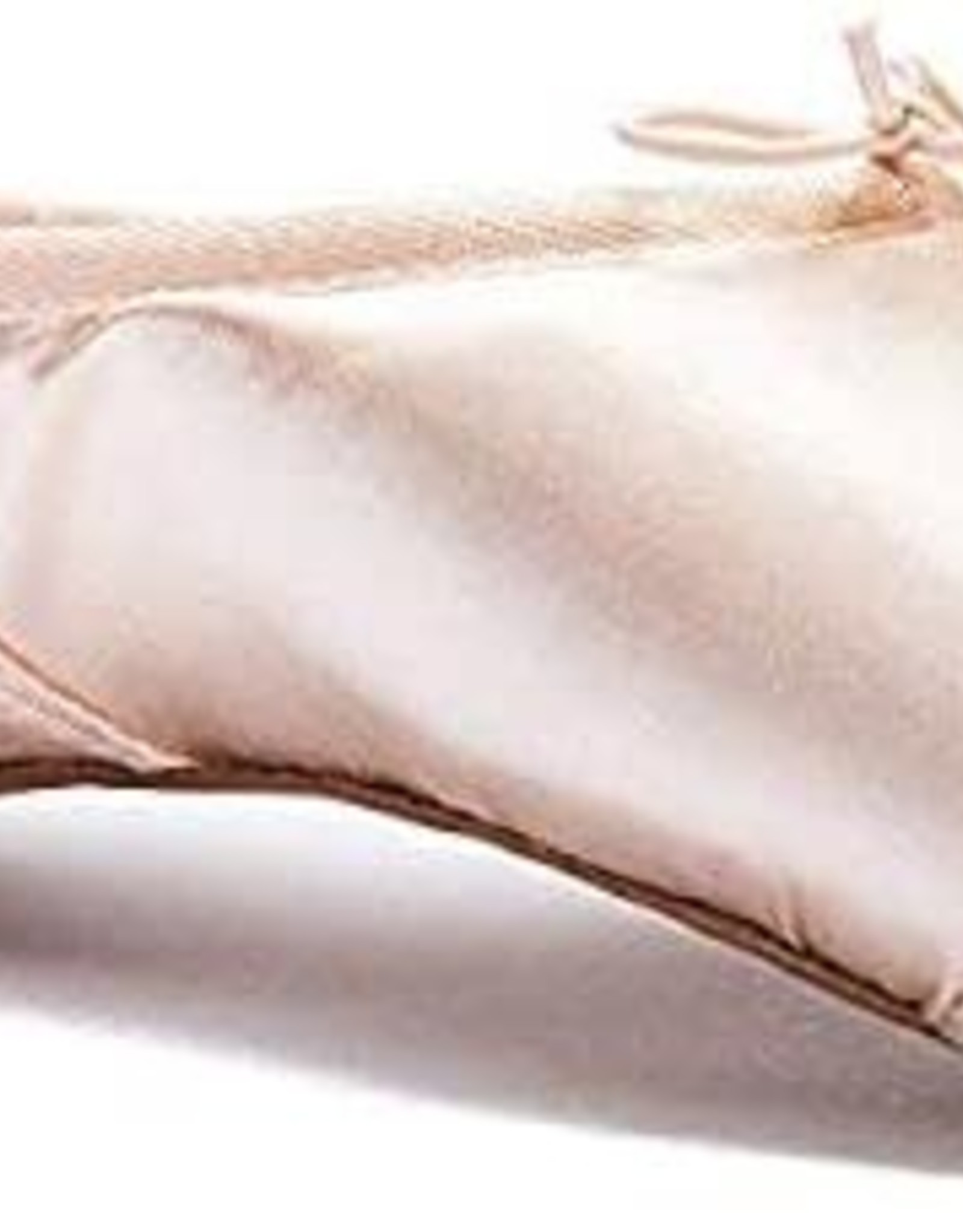 Capezio tiffany sales pointe shoes