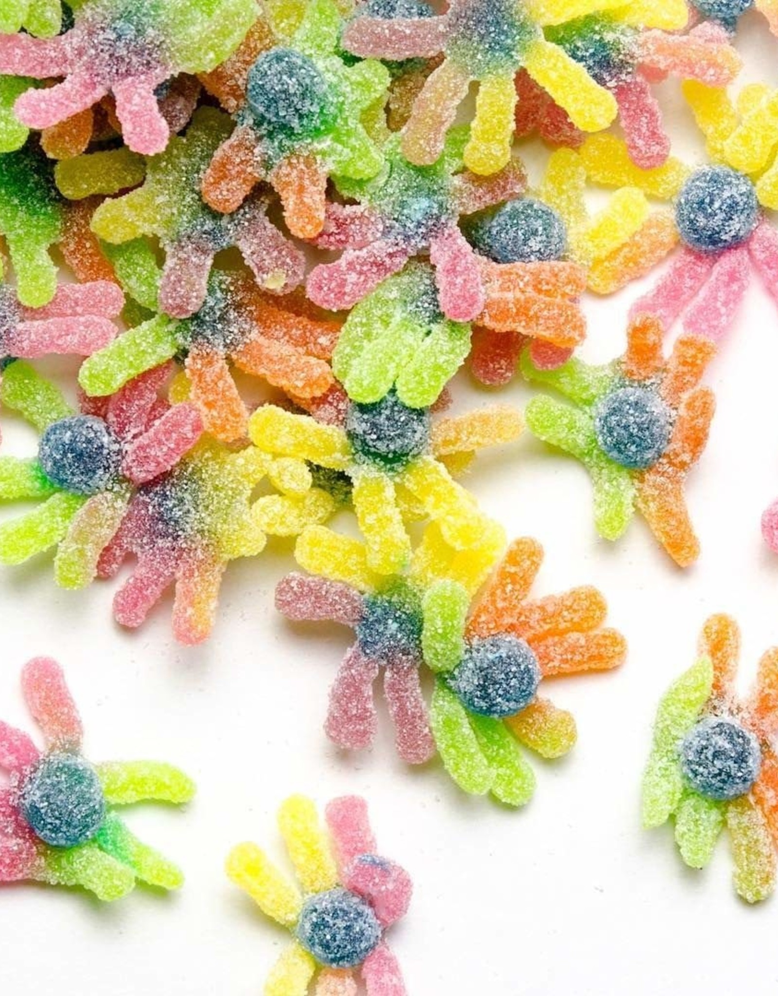 Sour Gummy Octopus