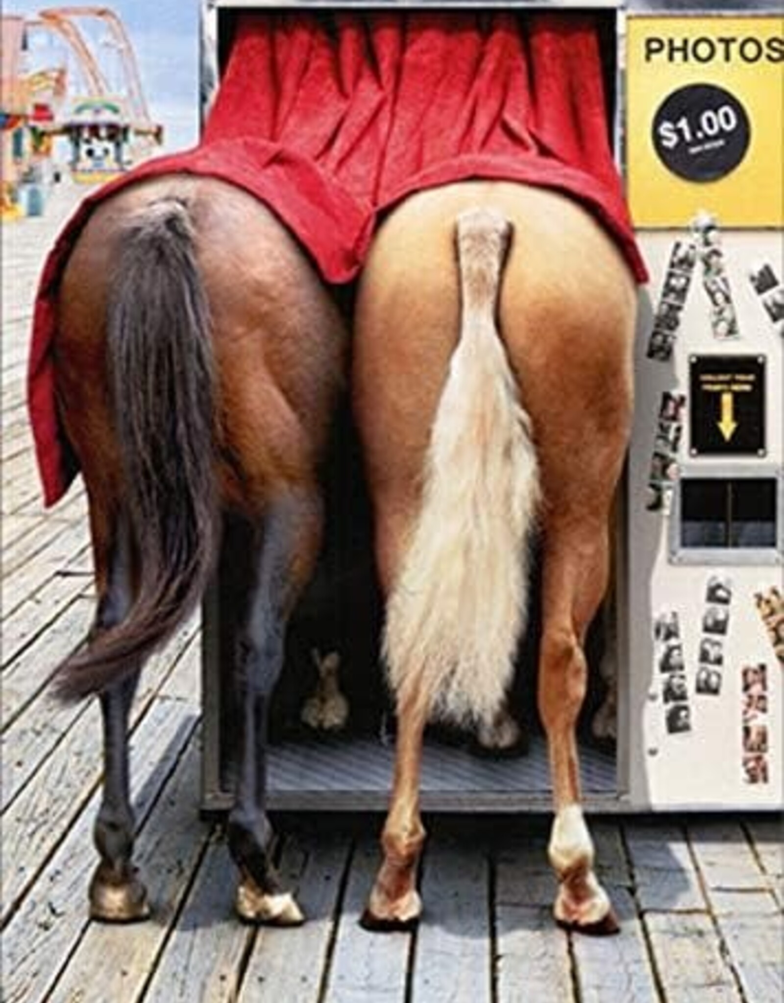 Horses in Photo Booth  Card