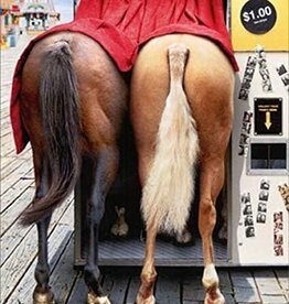 Horses in Photo Booth  Card