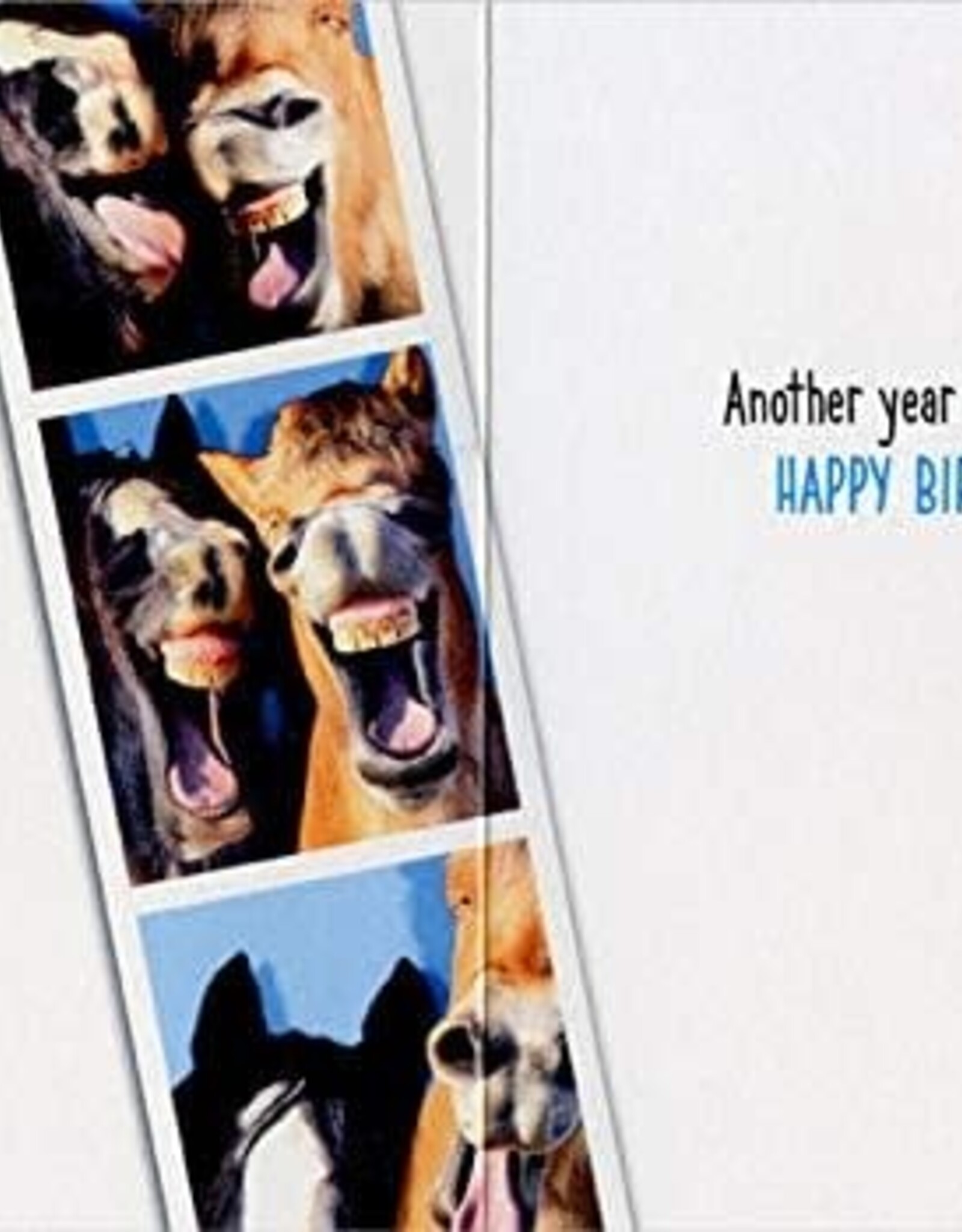 Horses in Photo Booth  Card