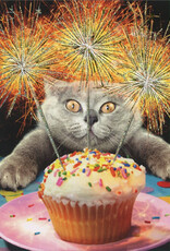 Cat with Sparkler Cake Card