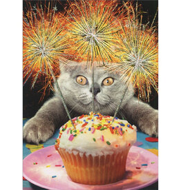 Cat with Sparkler Cake Card