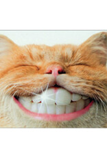 Cat  with Human Teeth - Alterna Card