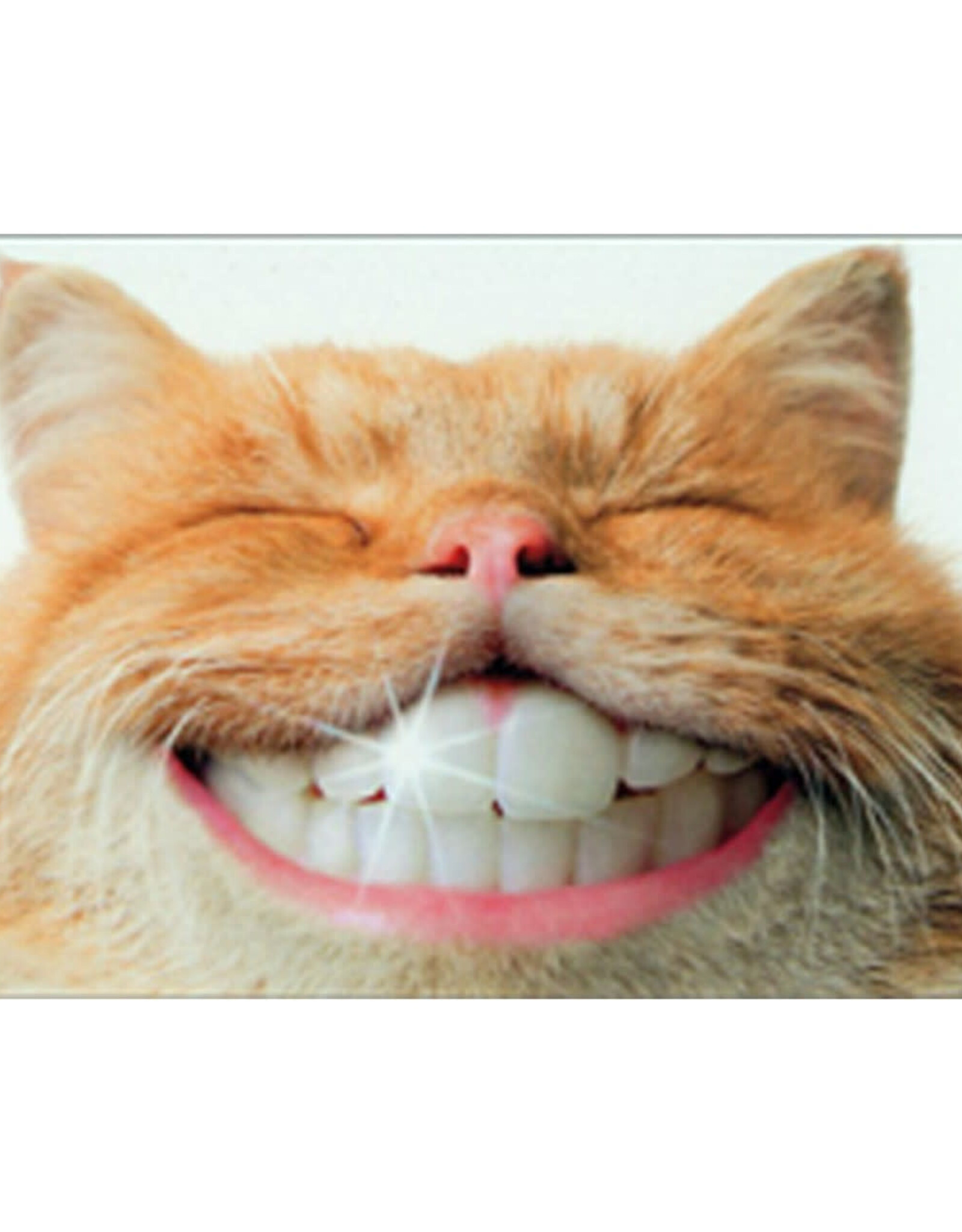 Cat  with Human Teeth - Alterna Card