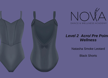 Level 2 Acro/Pre-Pointe/Wellness
