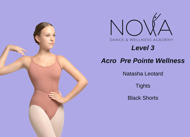 Level 3 Acro / Pre Pointe / Wellness
