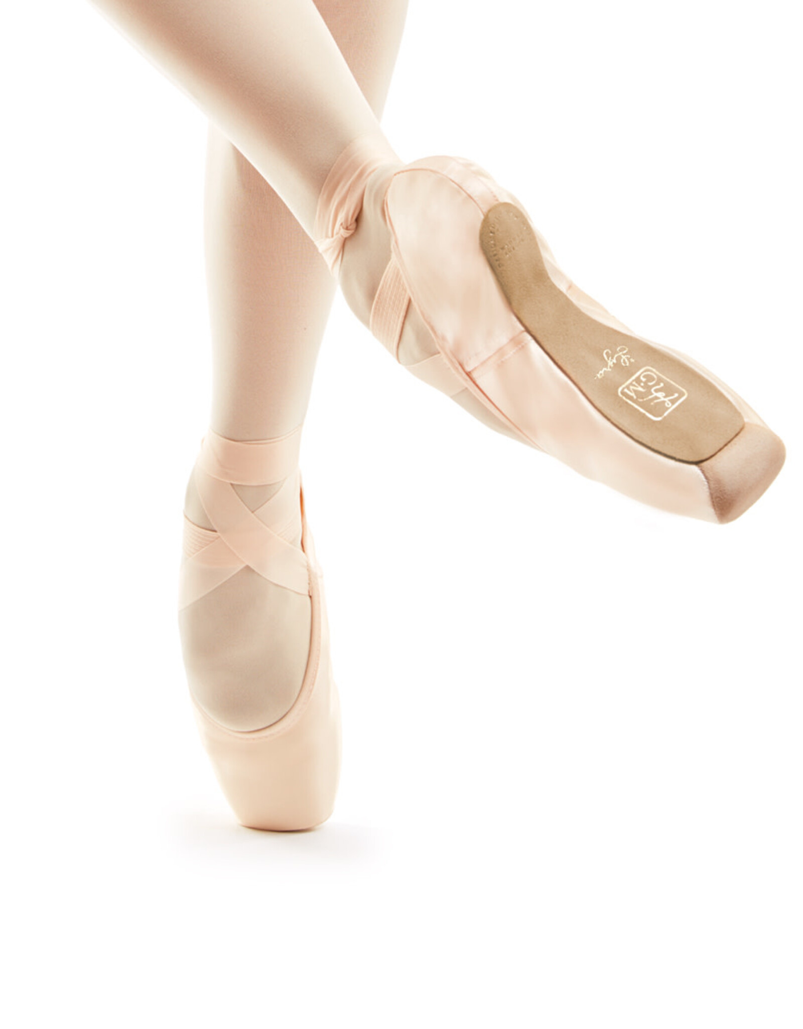 Gaynor Minden Gaynor Minden Lyra Sleek Pointe Shoe