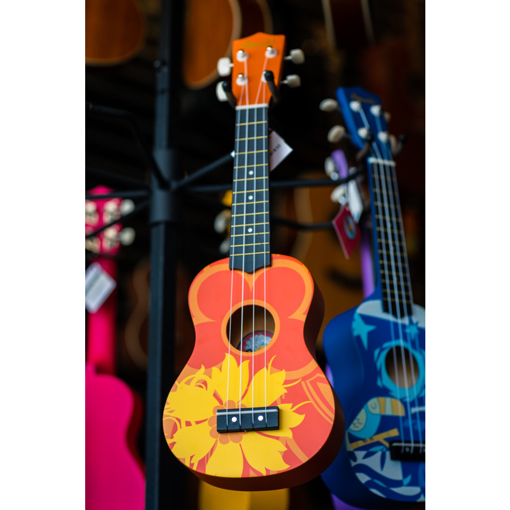 Amahi Amahi Soprano Ukulele with Orange Flower Design