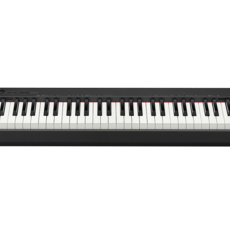 Casio Casio CDP-S150 Digital Piano with 88 Weighted Keys