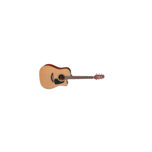 Takamine Takamine P1DC Acoustic Guitar w/Case Takamine Takamine P1DC Acoustic Guitar w/Case