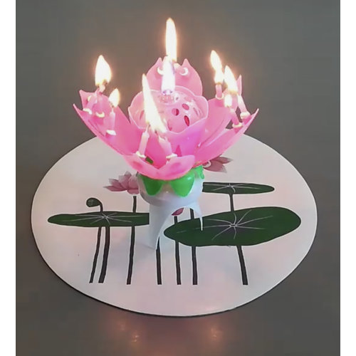 Lotus Candles Happy Birthday Musical Lotus Candle Lotus Candles Happy Birthday Musical Lotus Candle