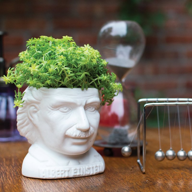 The Unemployed Philosophers Guild Albert Einstein Ceramic Planter