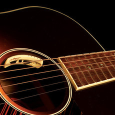 L.R. Baggs L.R. Baggs Anthem Acoustic Guitar Pickup System