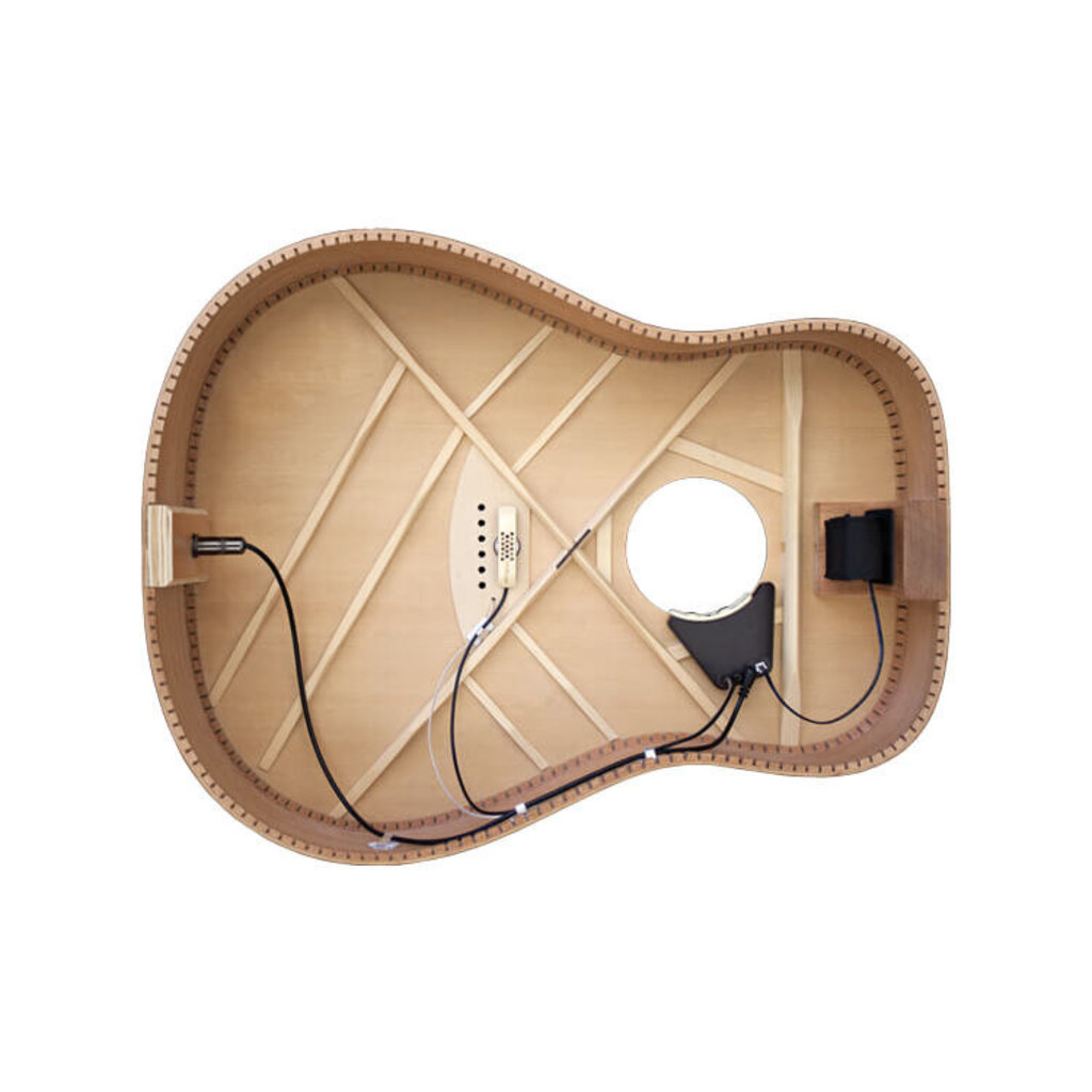 L.R. Baggs L.R. Baggs Anthem Acoustic Guitar Pickup System