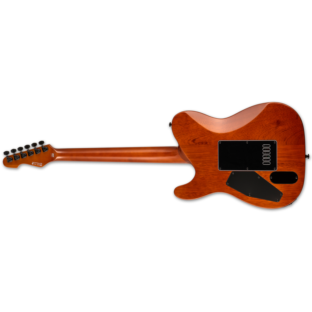 ESP/LTD LTD TE-1000 Electric Guitar [Evertune Bridge] (Koa)