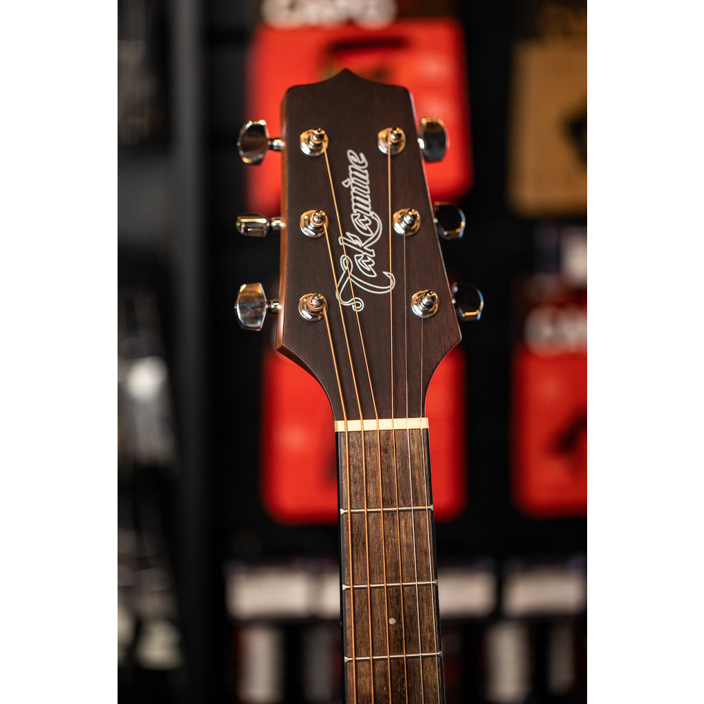 Takamine Takamine GD11M Acoustic Guitar (Natural Satin)