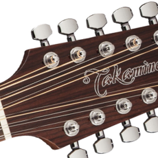 Takamine Takamine GD30CE-12 Acoustic/Electric Guitar [12-String] (Natural)