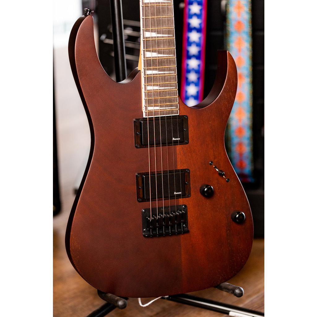 Ibanez Ibanez Gio GRG121DX Electric Guitar (Walnut Flat)