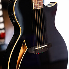 ESP/LTD LTD TL-6 Thinline Acoustic/Electric Guitar (Black)