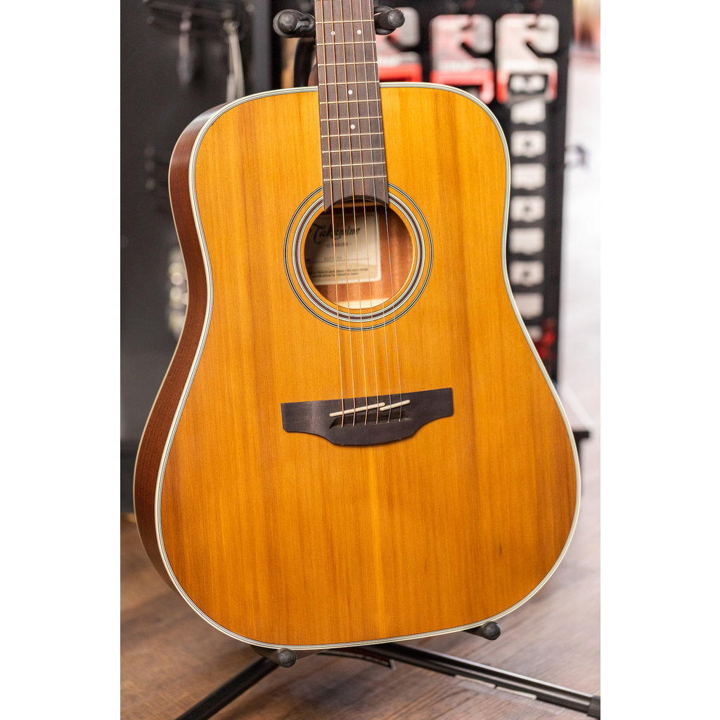 Takamine Takamine GD20 Acoustic Guitar (Natural Satin)