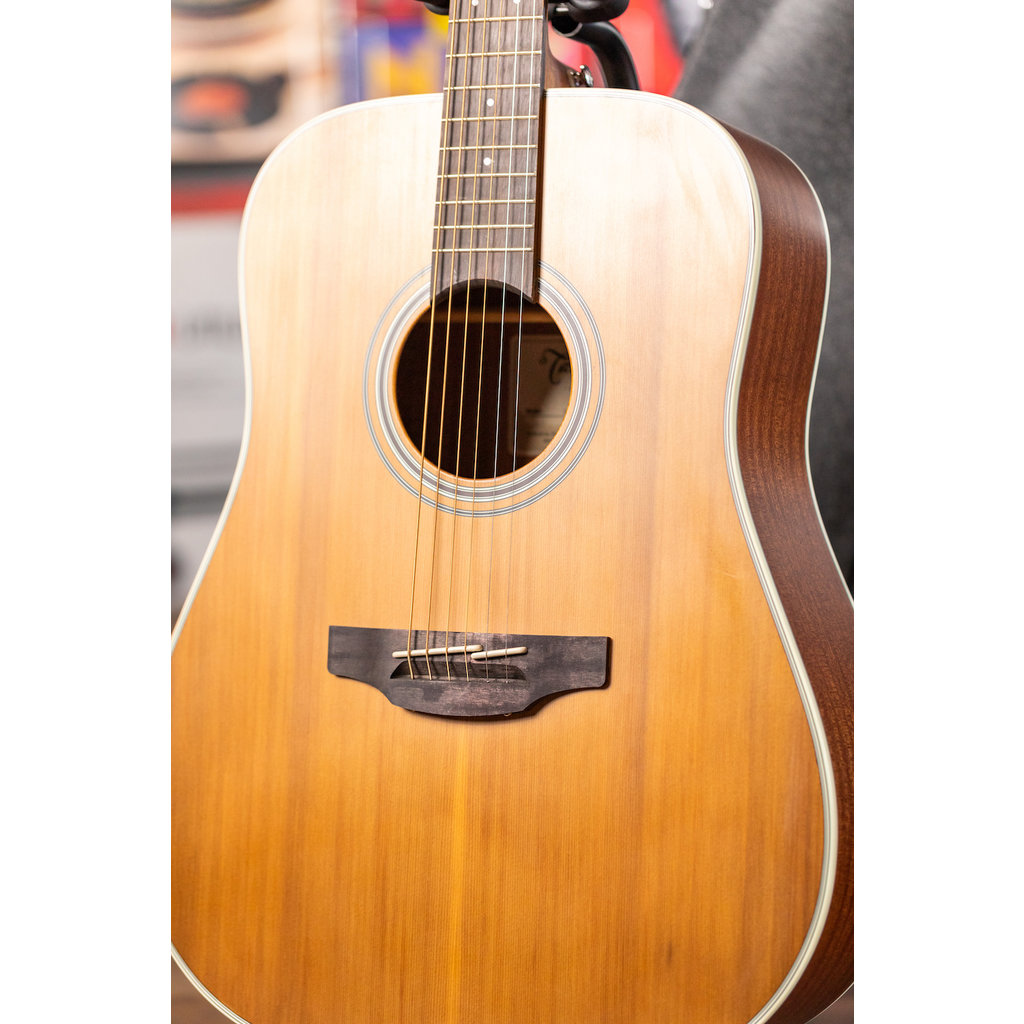 Takamine Takamine GD20 Acoustic Guitar (Natural Satin)