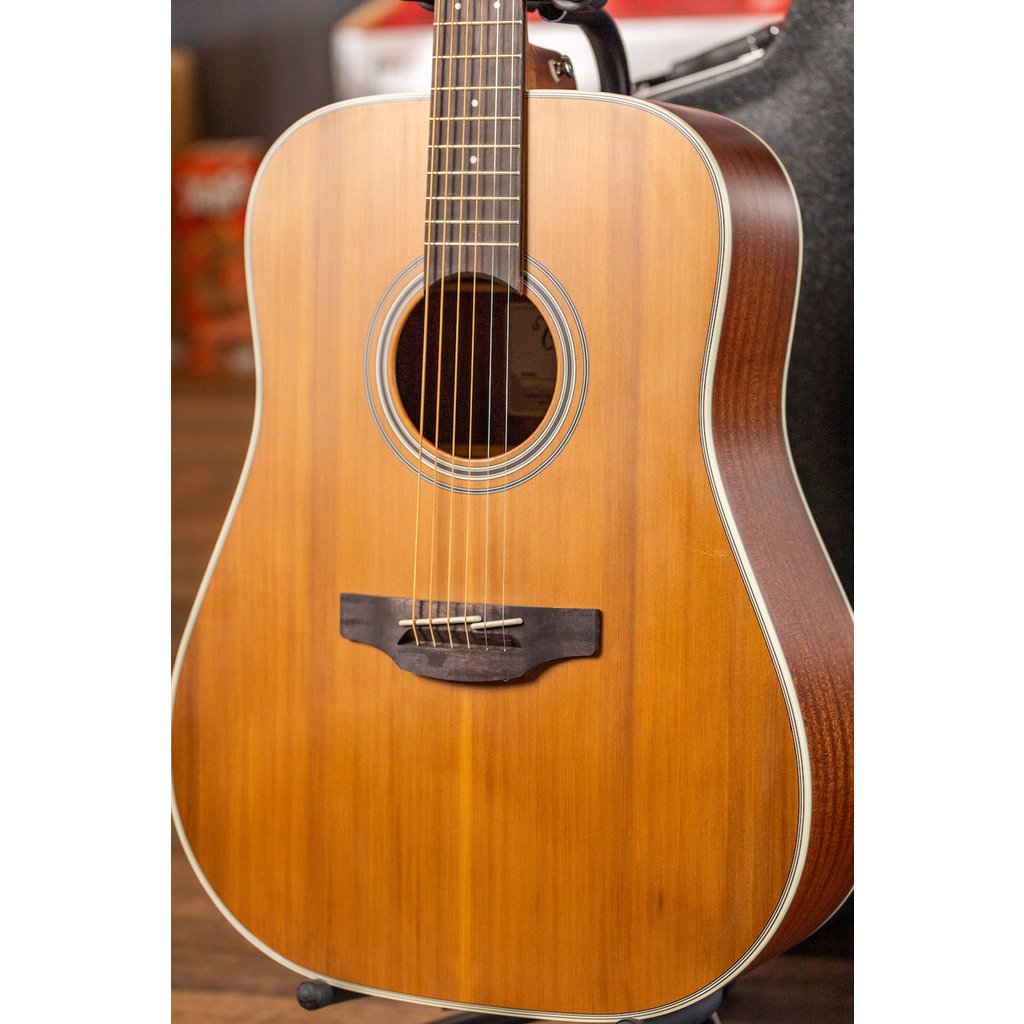 Takamine Takamine GD20 Acoustic Guitar (Natural Satin)