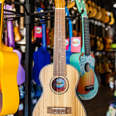 Amahi Amahi Zebrawood Concert Ukulele with EQ