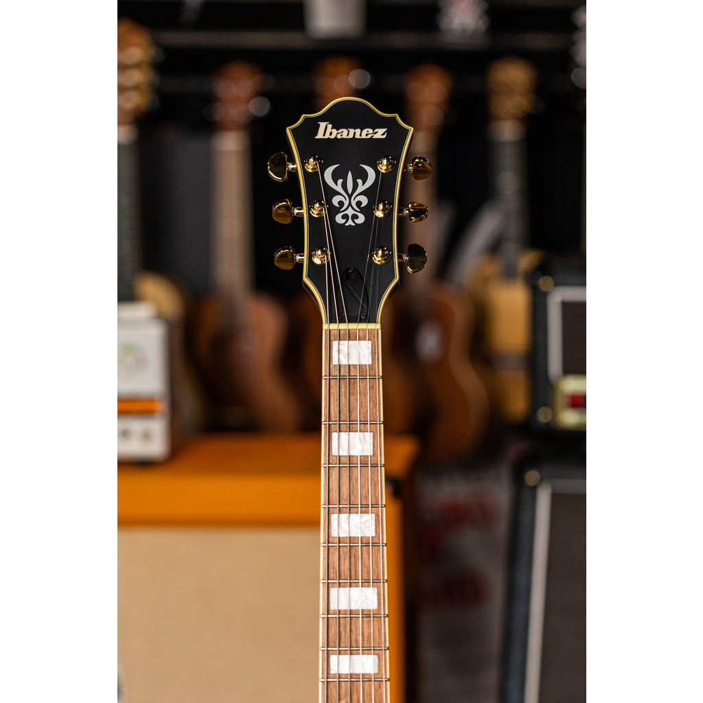 Ibanez Ibanez Artcore AS73G Semi-Hollow Electric Guitar (Black Flat)