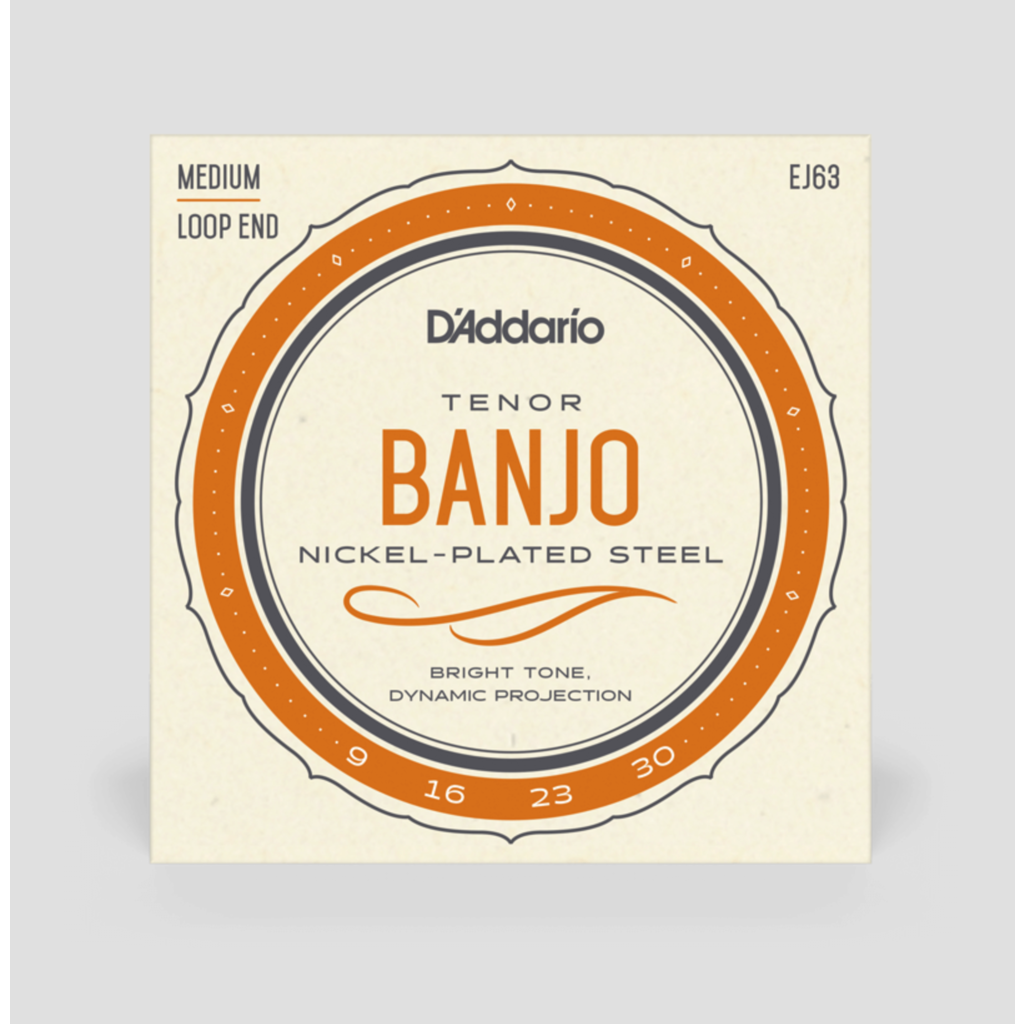 D'Addario D'Addario 09-30 Tenor Banjo Strings, Nickel Plated Steel (EJ63)