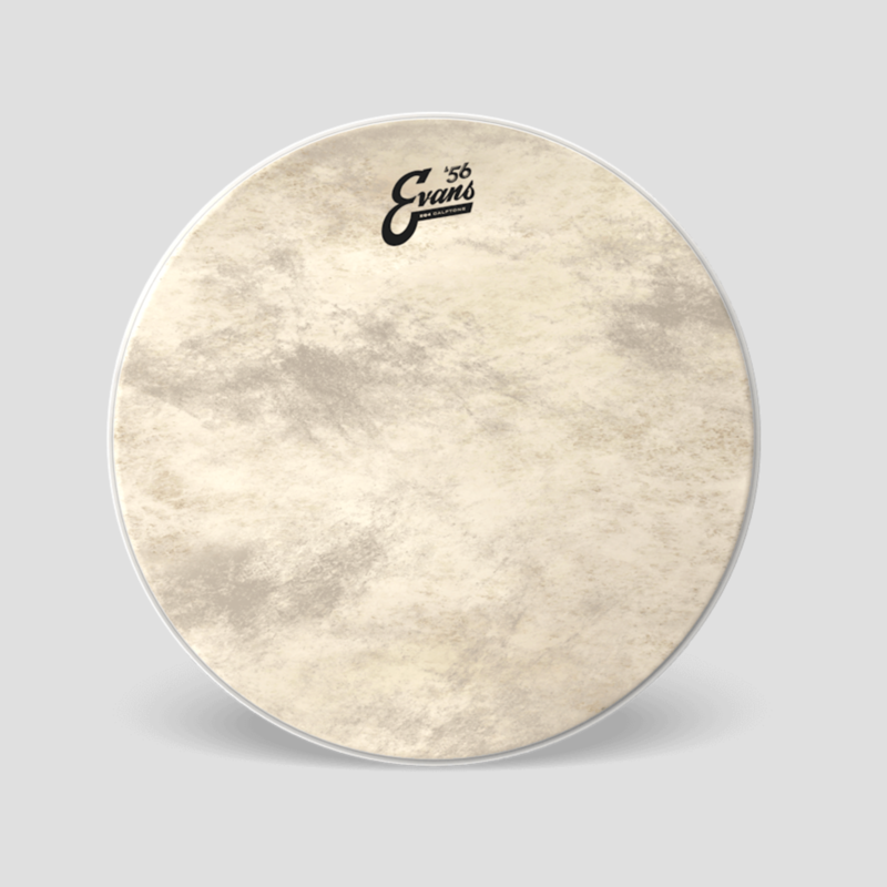 Evans Evans EQ4 Calftone Bass Drum Head