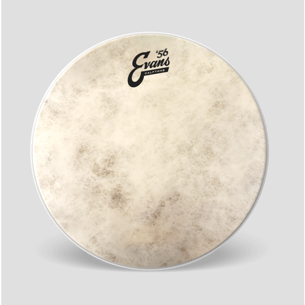 Evans Evans Calftone Batter Drum Head