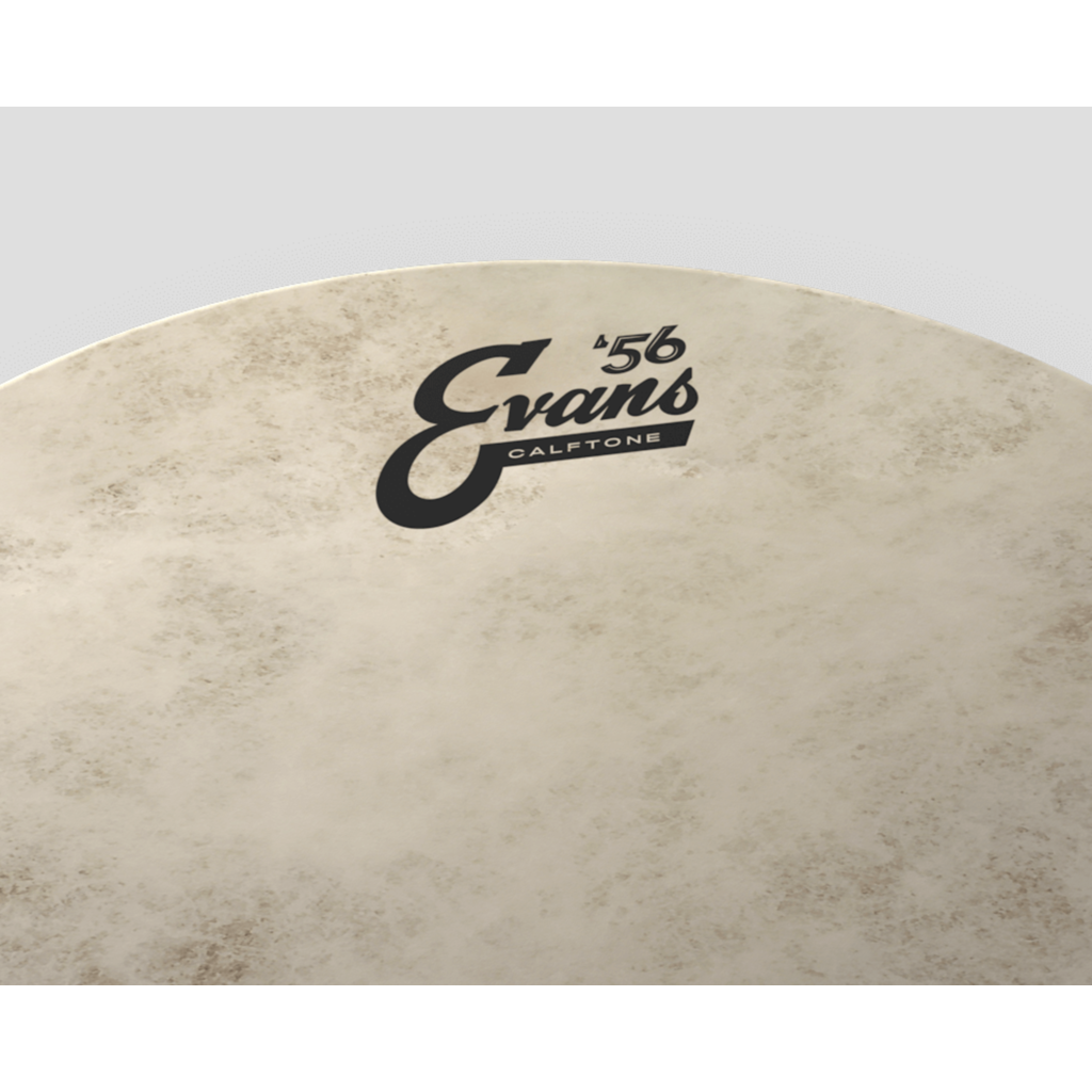 Evans Evans Calftone Batter Drum Head