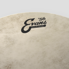 Evans Evans Calftone Snare Batter Drum Head