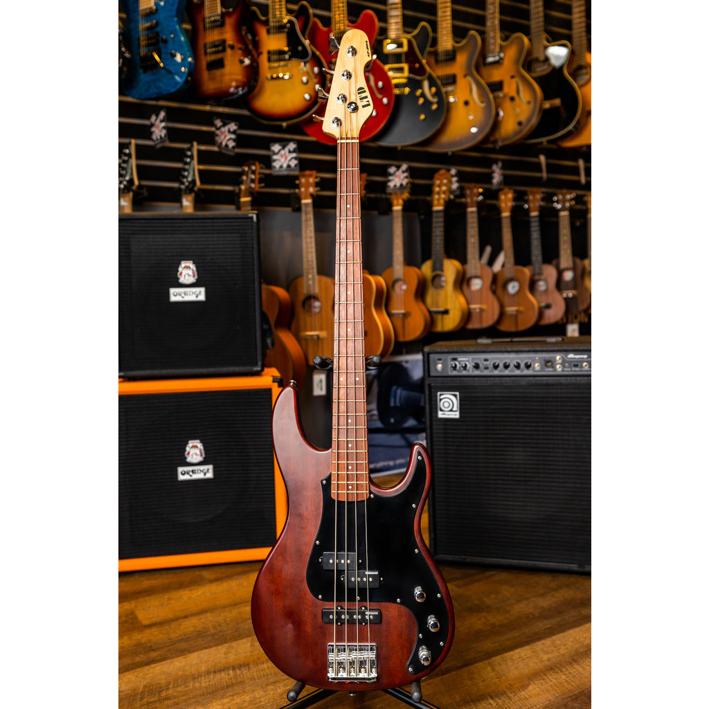 ESP/LTD LTD AP-204 Electric Bass (Natural Satin)