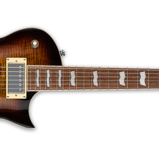 ESP/LTD LTD EC-256FM Electric Guitar (Dark Brown Sunburst)