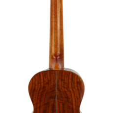 Amahi Amahi Concert Ukulele with Solid Spruce Top, Scallop Cutaway