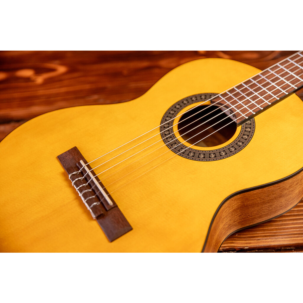 Ibanez Ibanez GA2 3/4 Scale Classical Guitar, Open Pore Amber