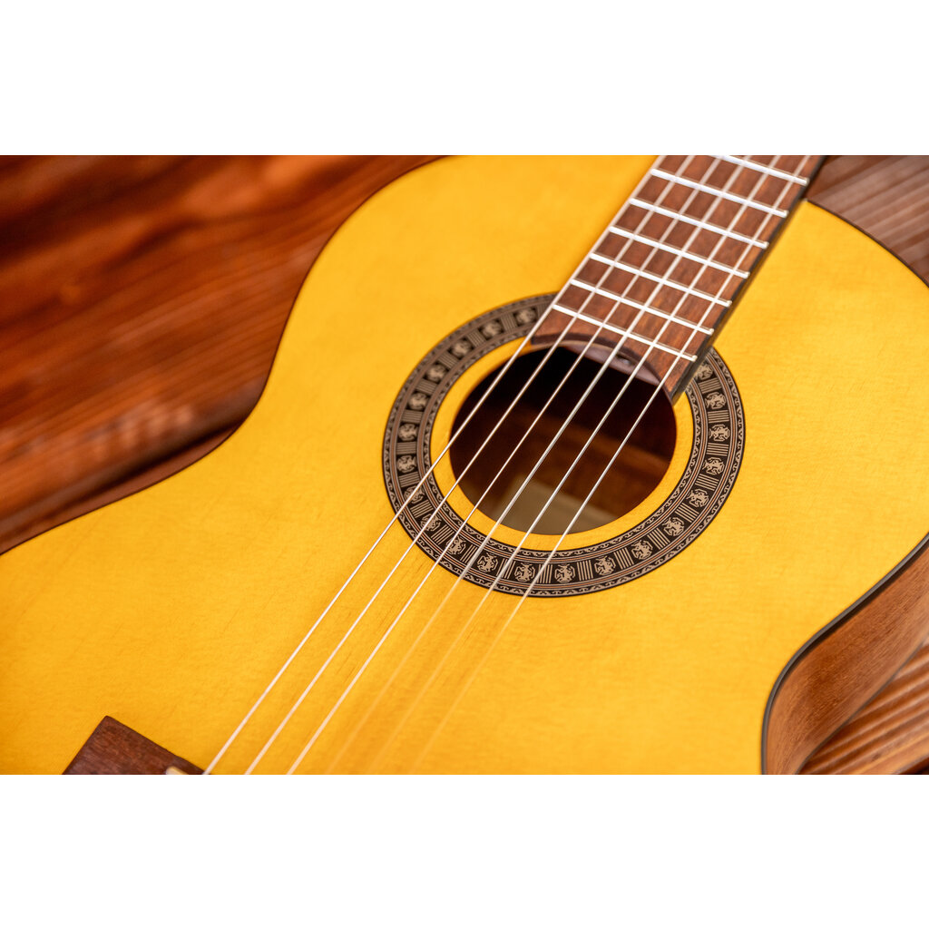 Ibanez Ibanez GA2 3/4 Scale Classical Guitar, Open Pore Amber