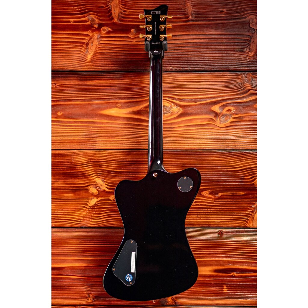 ESP/LTD LTD Sparrowhawk Electric Guitar, Black
