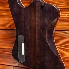 ESP/LTD LTD Phoenix-1000 Electric Guitar, See Thru Black Sunburst