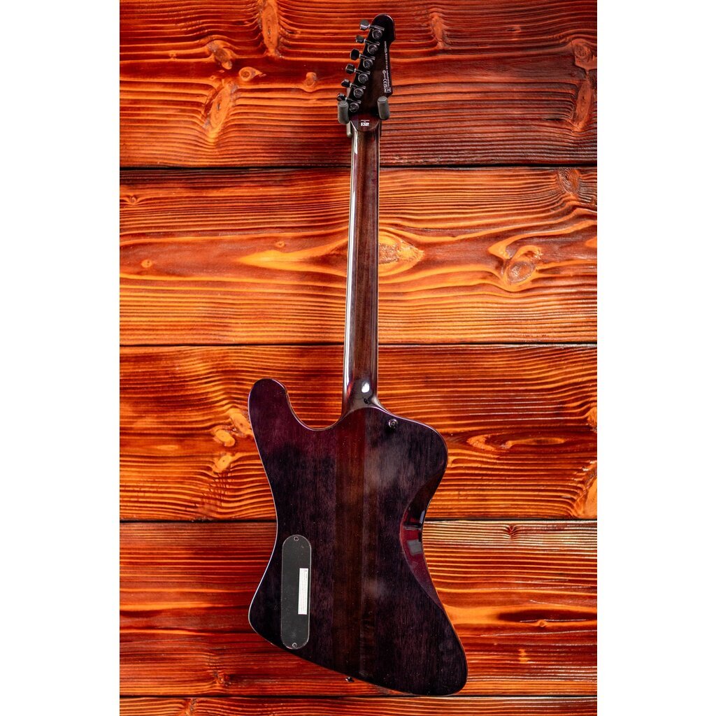 ESP/LTD LTD Phoenix-1000 Electric Guitar, See Thru Black Sunburst