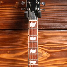 ESP/LTD LTD EC-256FM Electric Guitar, Vintage Natural