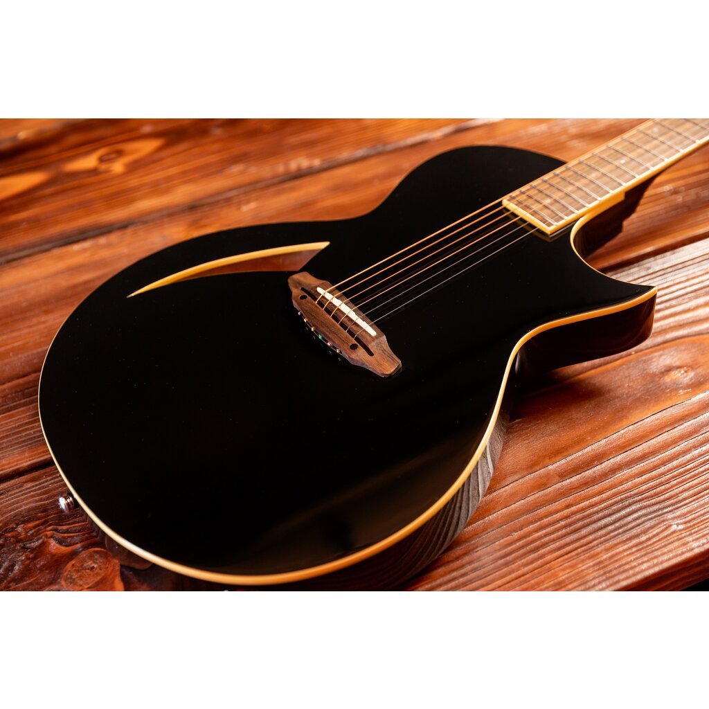 ESP/LTD LTD TL-6 Thinline Acoustic/Electric Guitar, Black