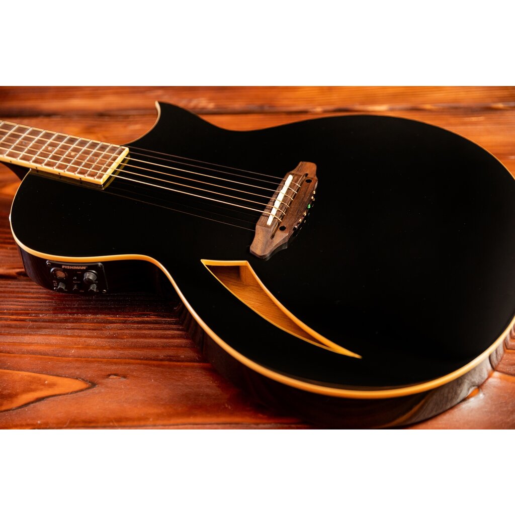 ESP/LTD LTD TL-6 Thinline Acoustic/Electric Guitar, Black