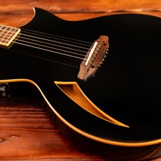 ESP/LTD LTD TL-6 Thinline Acoustic/Electric Guitar, Black