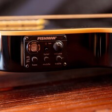 ESP/LTD LTD TL-6 Thinline Acoustic/Electric Guitar, Black